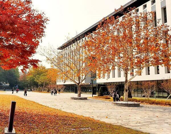 Trường Đại học Quốc gia Chungbuk rực sắc đỏ cam vào mùa thu