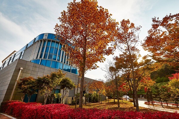 Khuôn viên trường rực rỡ sắc màu vào mùa thu