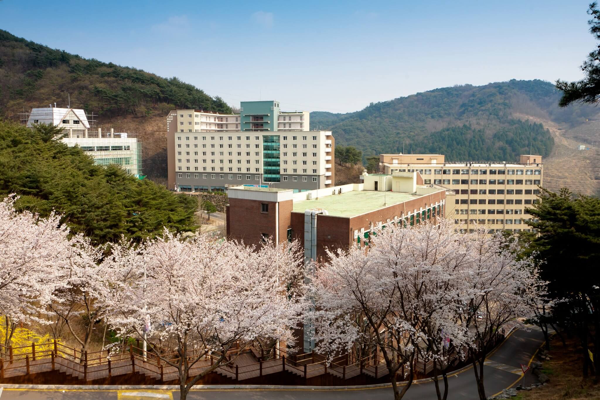 Cùng Du học MAP khám phá trường Đại Học Quốc Tế Hàn Quốc