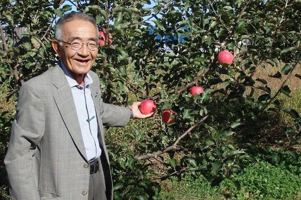 Ông Kimura và vườn táo diệu kỳ - Tấm gương tiêu biểu dành cho sinh viên du học ngành nông nghiệp tại Nhật