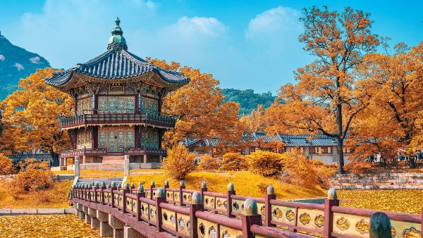 Ngành du lịch - khách sạn là một trong các ngành học dễ xin việc ở Hàn Quốc