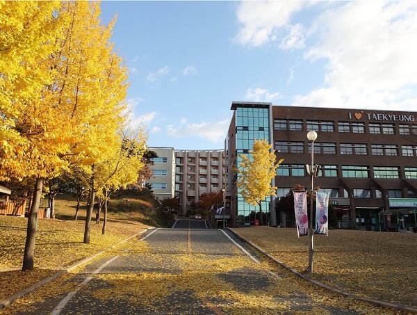 Đại học Daekyeung rực rỡ sắc vàng mùa thu