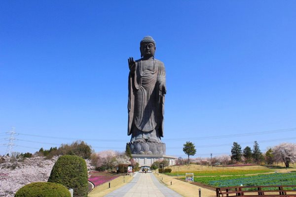 Đại tượng Phật Ushiku Daibutsu - Du học ở Ibaraki