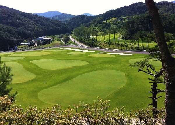 Hệ thống sân golf 8 lỗ hiện đại của Đại học Golf Hàn Quốc