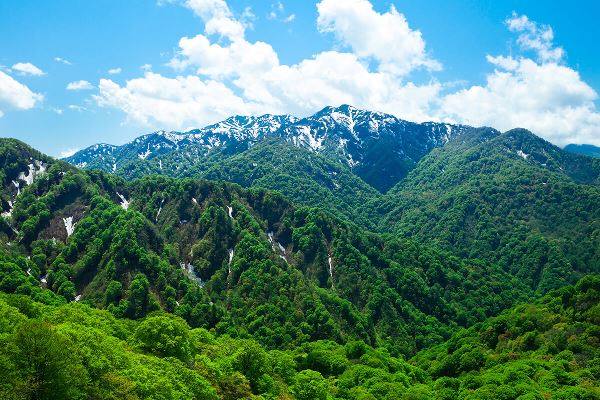 Vùng núi Shirakami Sanchi hùng vĩ