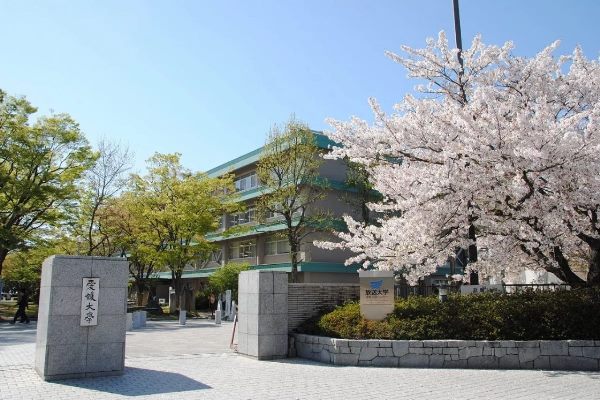 Đại học Ehime là địa điểm du học Nhật Bản ở Ehime lý tưởng