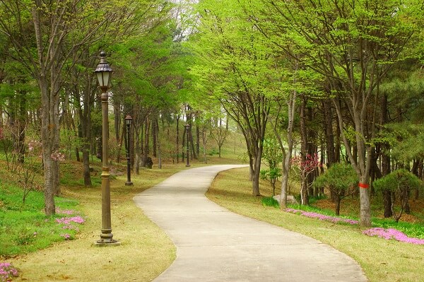 Khuôn viên Kwangshin University xanh mát vào mùa hạ