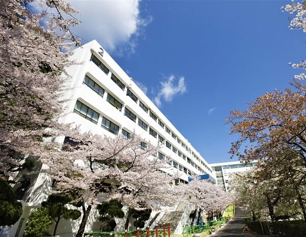 Học xá trường Khoa học và Công nghệ Busan đẹp nên thơ vào mùa xuân
