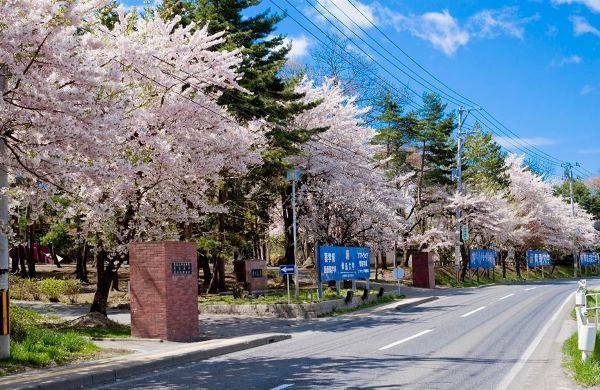 Aomori University hoạt động từ năm 1968