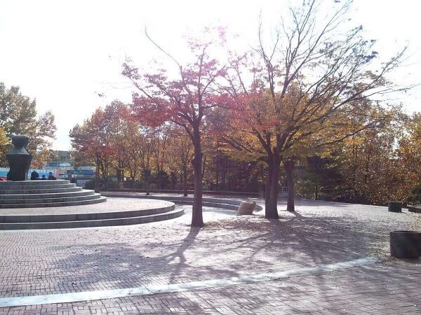 Khung cảnh Chongju National College of Science and Technology vào mùa thu