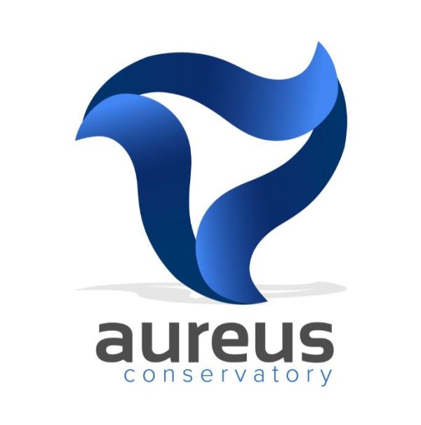 Cùng tham khảo thông tin chi tiết về nhạc viện Aureus Singapore nhé!