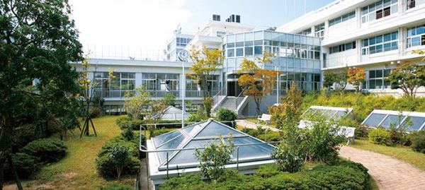 Cơ sở chính tại Hyogo