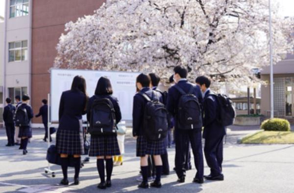 Tân sinh viên đại học Thương mại Takasaki xem thông tin nhập học