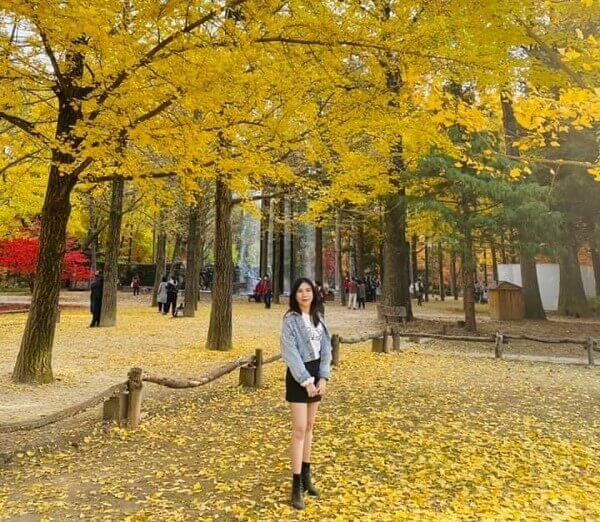 Bùi Hằng giữa mùa thu vàng tại Hàn Quốc, sau khi nhập học