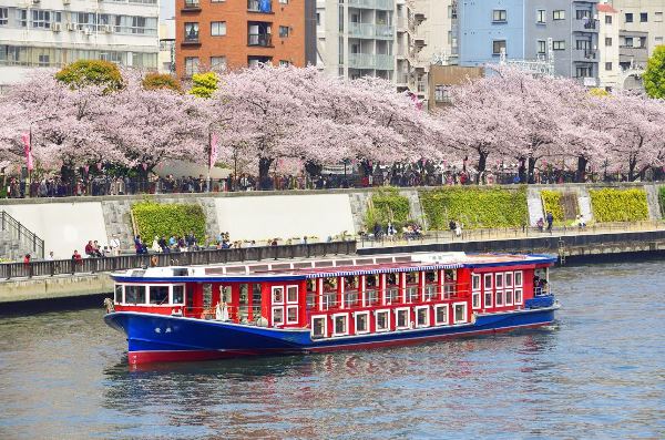 Trường tọa lạc bên dòng sông Sumida thơ mộng