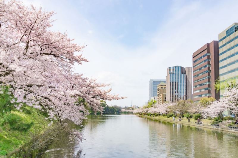 Học Viện Quốc Tế Fuji Nhật Bản – Bước Đệm Cho Tương Lai