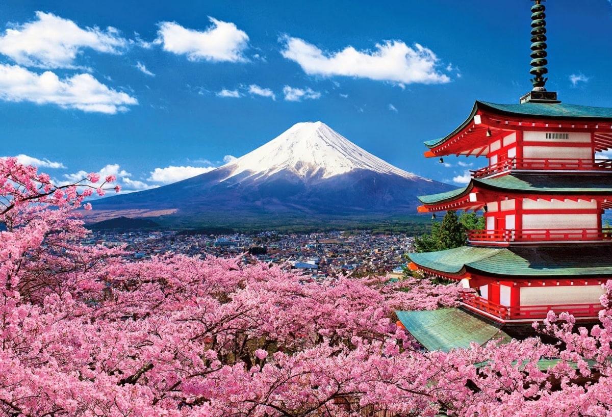 Du Học Nhật Bản Ngành Công Nghệ Sinh Học: Trải Nghiệm Nền Giáo Dục Sinh Hóa Hàng Đầu Tại Đất Nước Mặt Trời Mọc