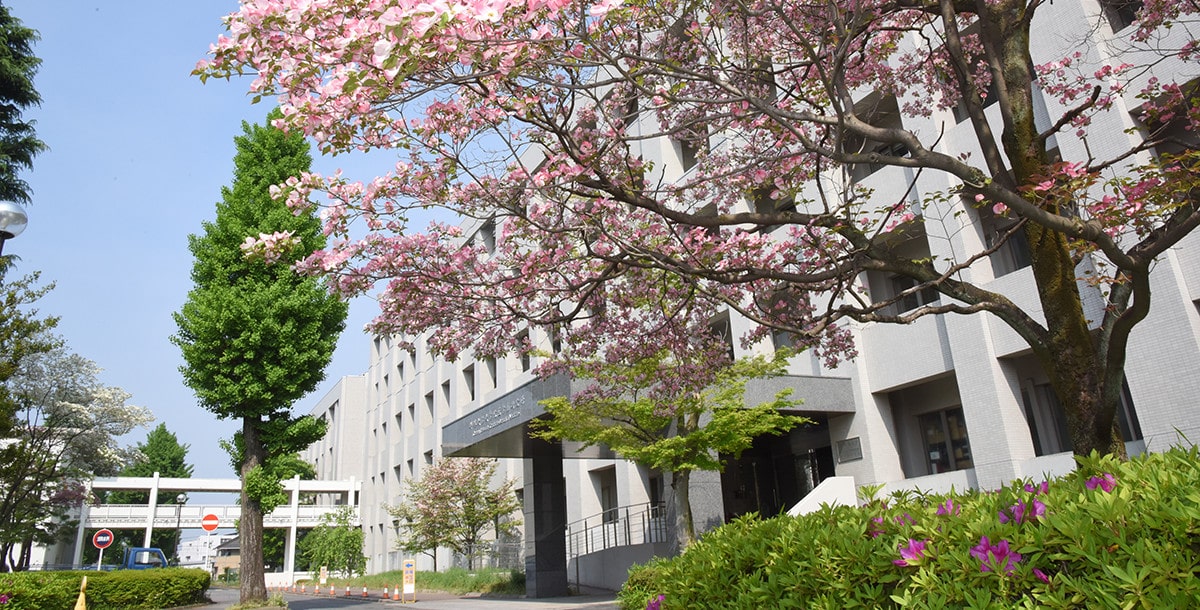 Đại Học Gunma Nhật Bản – Đại Học Top 1 Tại Gunma