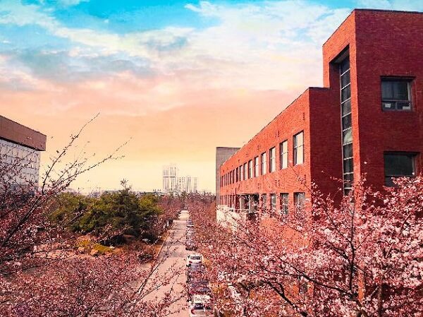 Mùa xuân ngập tràn tại Gyeonggi University of Science and Technology