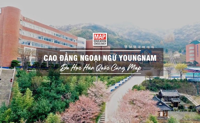 Cao đẳng Ngoại ngữ Youngnam Hàn Quốc