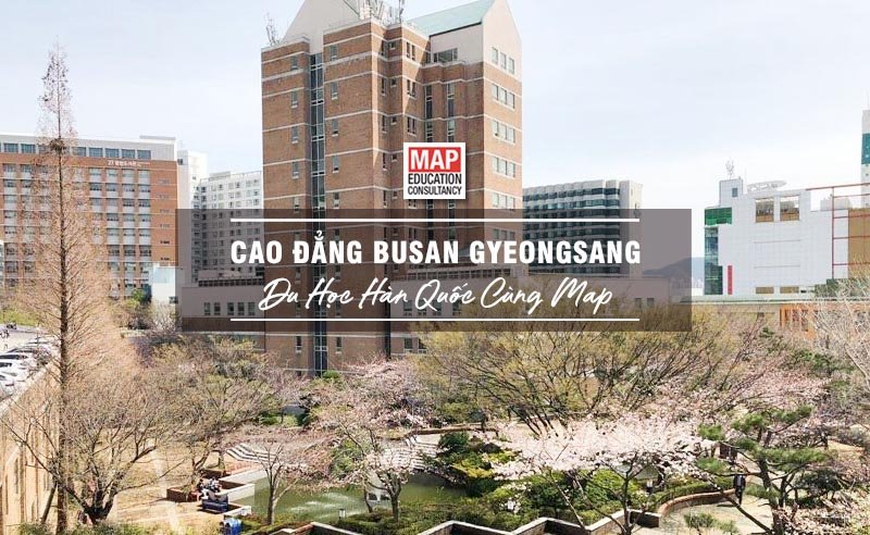 Cao đẳng Busan Gyeongsang – Thế Mạnh Đào Tạo Ngành Kinh Doanh