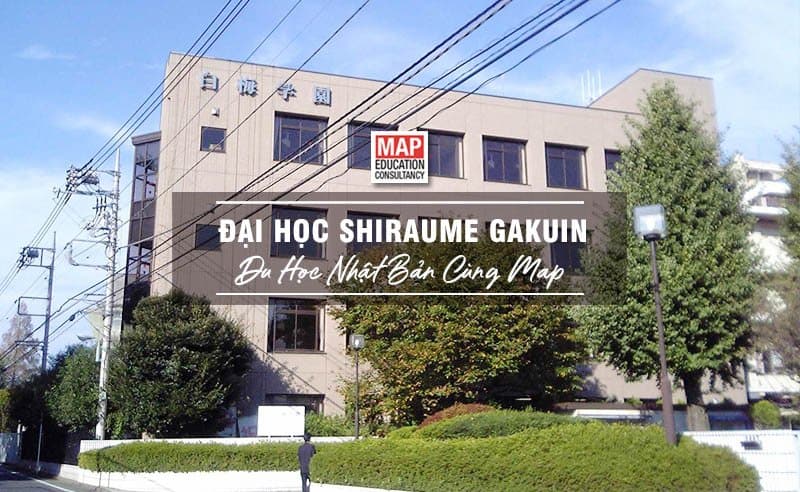 Đại Học Shiraume Gakuen Nhật Bản – Trường Đào Tạo Nghiên Cứu Trẻ Em Hàng Đầu Tại Tokyo