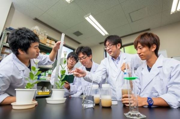 Yokkaichi University nổi bật với ngành môi trường