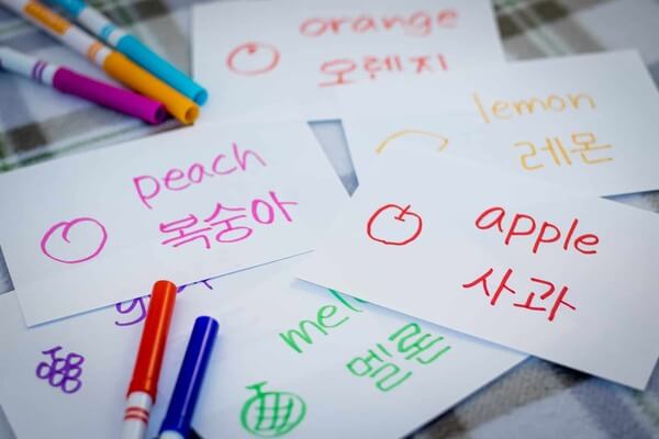 Lộ trình tự học từ vựng tiếng Hàn cho người mới bắt đầu