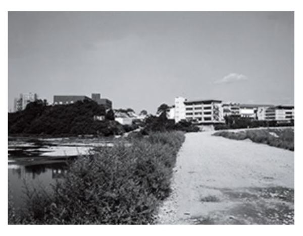 Kurashiki Sakuyo University vào những năm 1960