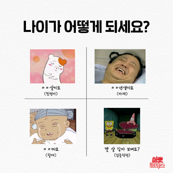 Một số cách trả lời tuổi tác thông dụng trong tiếng Hàn