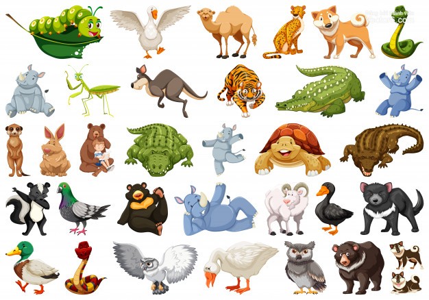 Từ vựng về động vật trong tiếng Hàn giúp bạn hiểu thêm về thế giới muôn thú